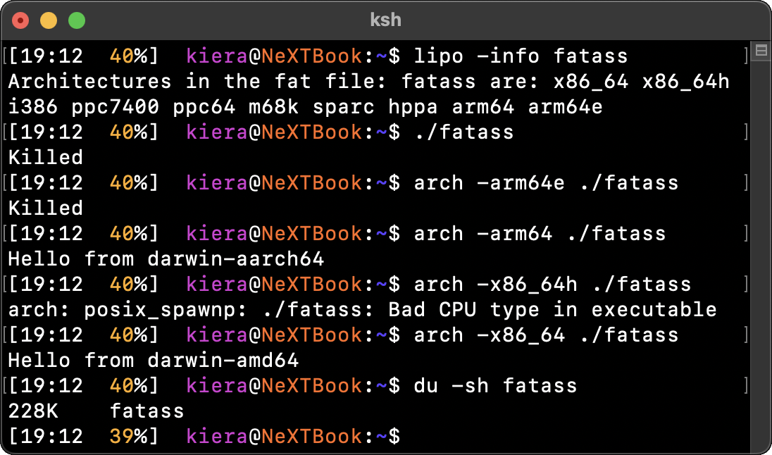 Terminal output. The 'lipo' command says the binary has 10 architectures, now including hppa, sparc, arm64e, and x86_64h